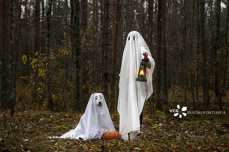 万圣节：主人和快乐的狗狗图片素材