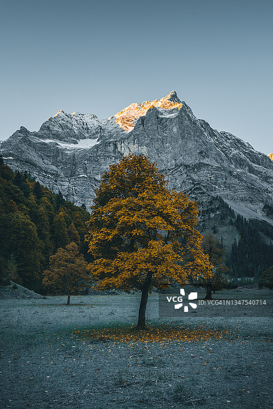 格罗瑟阿霍恩博登日出枫树图片素材