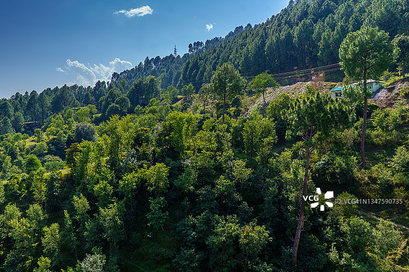 山地森林图片素材
