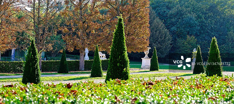 雕刻树木图片素材