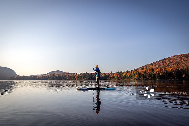 男人在魁北克省翠湖山省立公园的湖上划桨板（秋季）图片素材