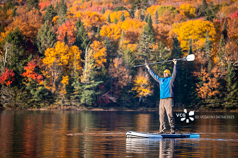 男人在魁北克省翠湖山省立公园的湖上划桨板（秋季）图片素材