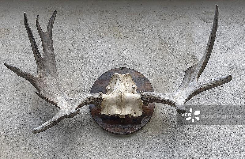 德国巴伐利亚，护林员小屋墙上的麋鹿角图片素材