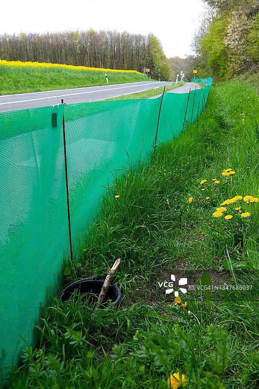 两栖动物保护围栏，在两栖动物迁徙期间，用于保护动物免受车辆碾压，德国北莱茵-威斯特法伦州费尔贝特图片素材