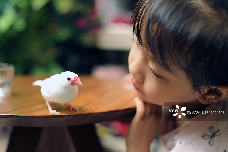 宠物爱图片素材