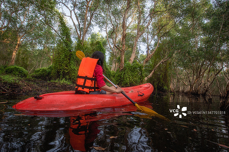 皮划艇旅行：女子在泰国罗勇府的泥炭沼泽森林湿地中划透明独木舟图片素材