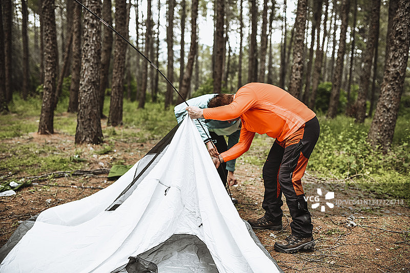 女儿帮助父亲在森林里搭帐篷图片素材