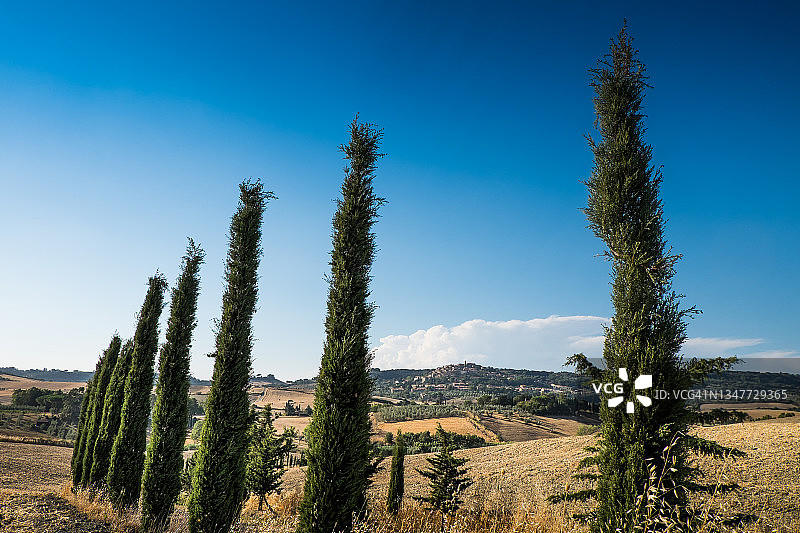 意大利托斯卡纳的卡萨莱马里蒂莫图片素材