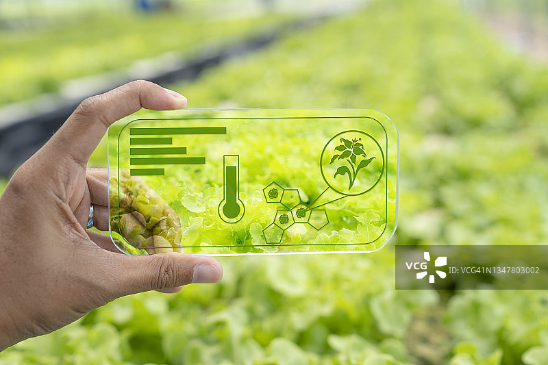 智慧农业、农业综合企业与科技图片素材