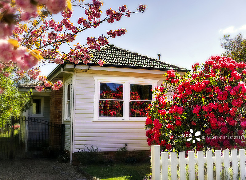 梦幻般的房屋和花园，春天的花朵图片素材