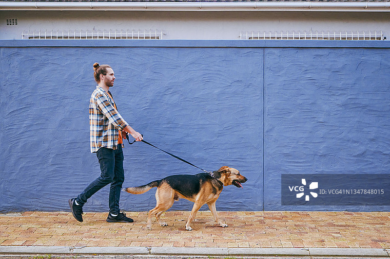 年轻男人带狗散步的照片图片素材