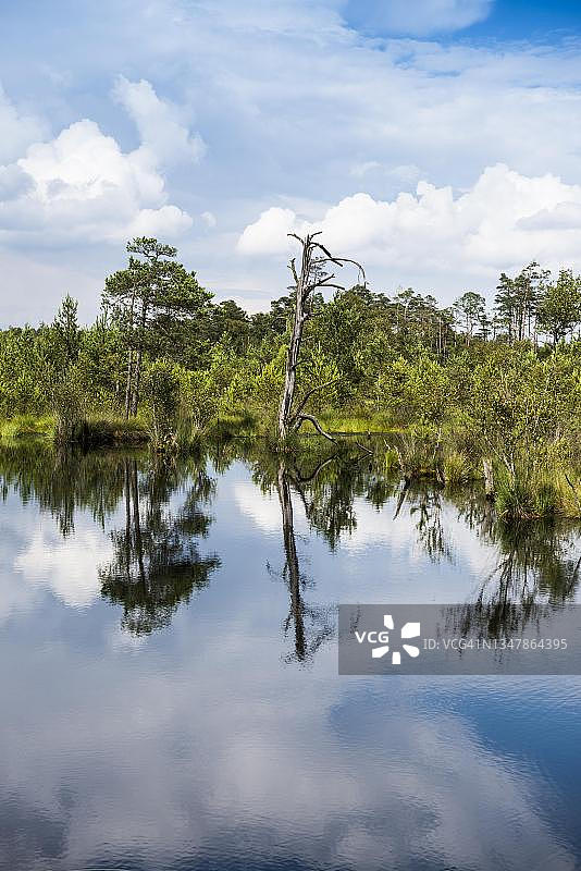 德国下萨克森州吕讷堡石楠草原自然公园图片素材