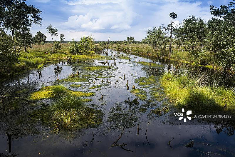 德国下萨克森州吕讷堡石楠草原自然公园图片素材