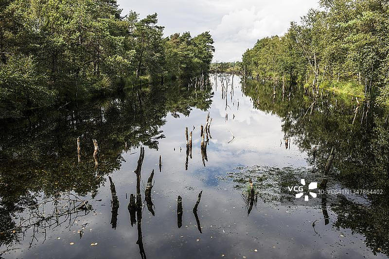 德国下萨克森州吕讷堡石楠草原自然公园图片素材