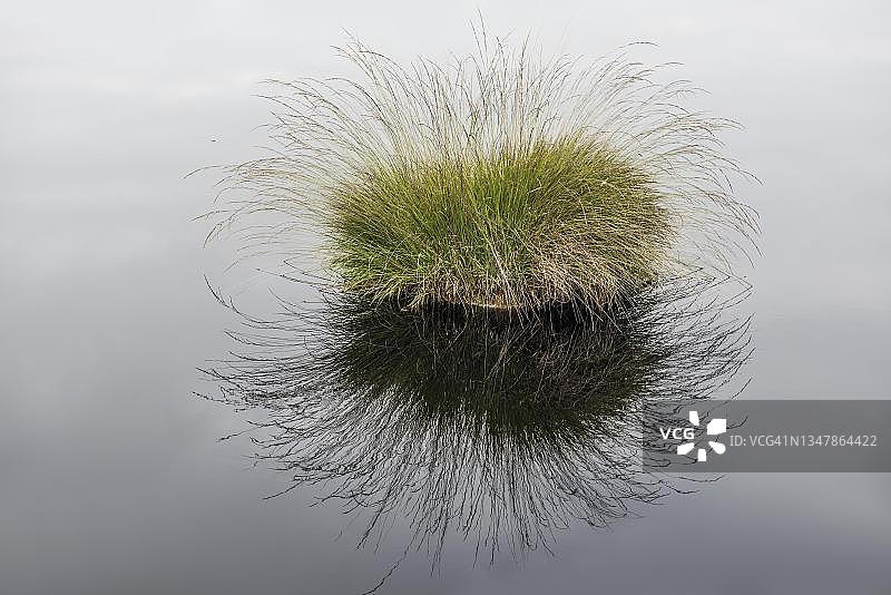 德国下萨克森州吕讷堡石楠草原自然公园图片素材