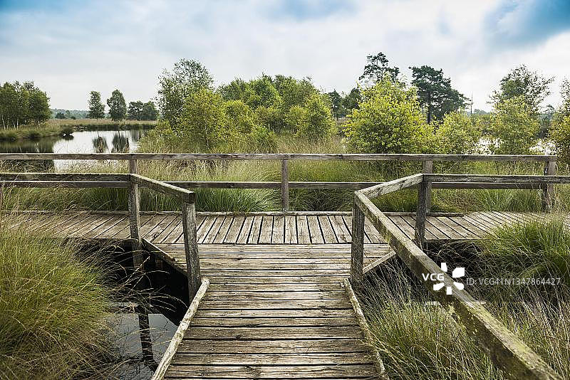 德国下萨克森州吕讷堡石楠草原自然公园图片素材