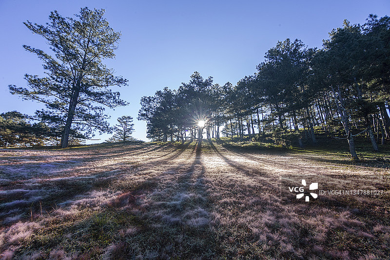 阳光洒在草山上的第一缕阳光图片素材