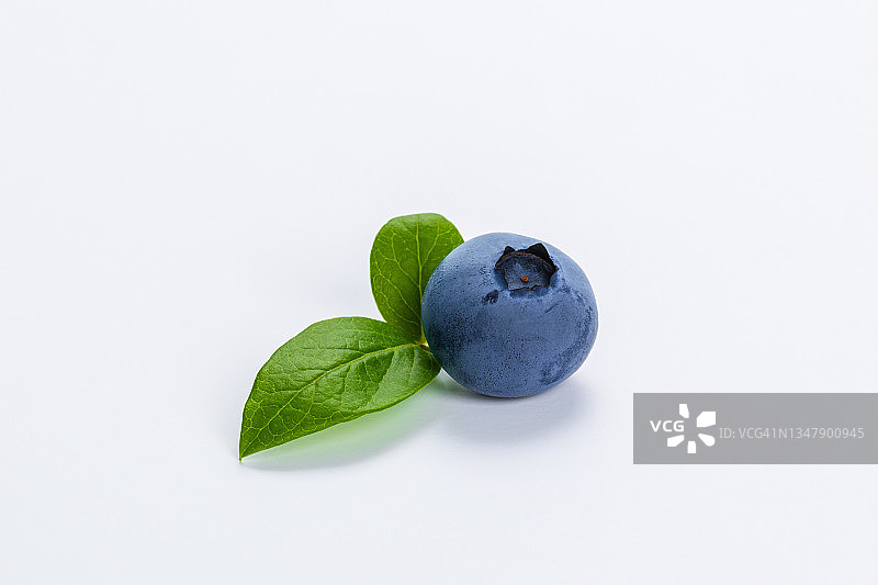 蓝莓图片素材