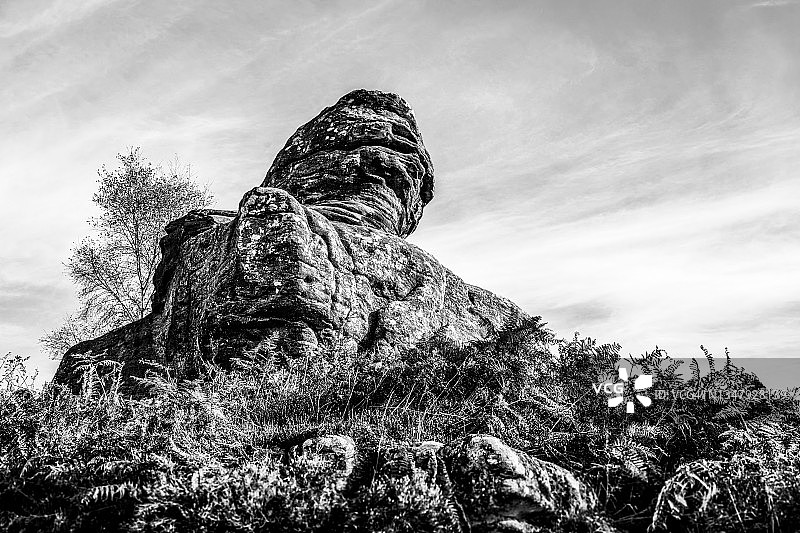 黑白岩层图片素材