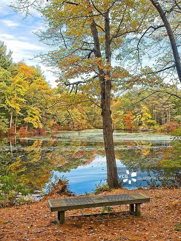 马萨诸塞州北安多弗科奇切维克湖附近保护区沿里亚池塘的美丽秋叶图片素材