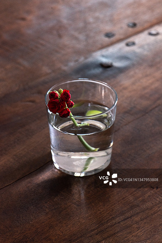 木桌上盛在水杯中的红色小花图片素材
