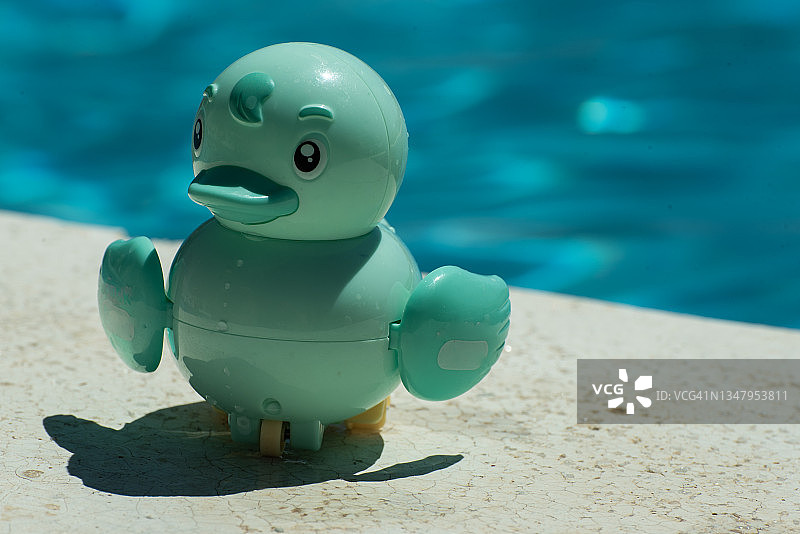 阳光下游泳池旁的绿蓝色塑料鸭子图片素材