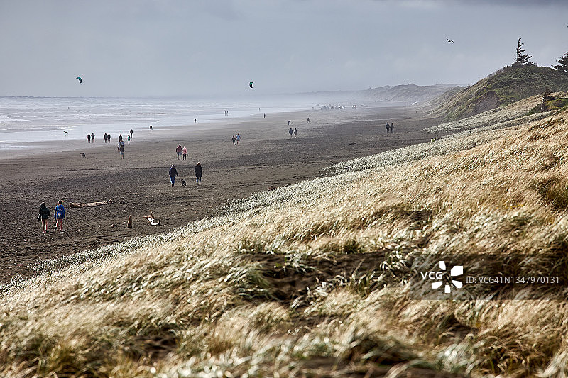 奥克兰西海岸的穆里怀海滩图片素材