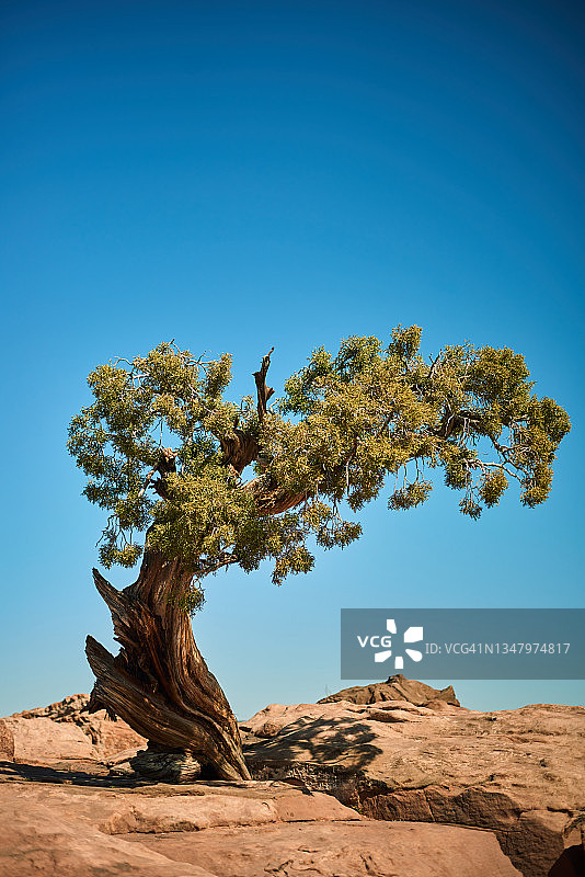 瞻博网络图片素材
