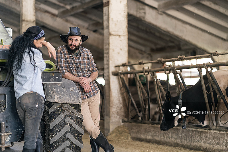 在大型奶牛场里，穿着休闲的白人农民夫妇在微笑交谈图片素材