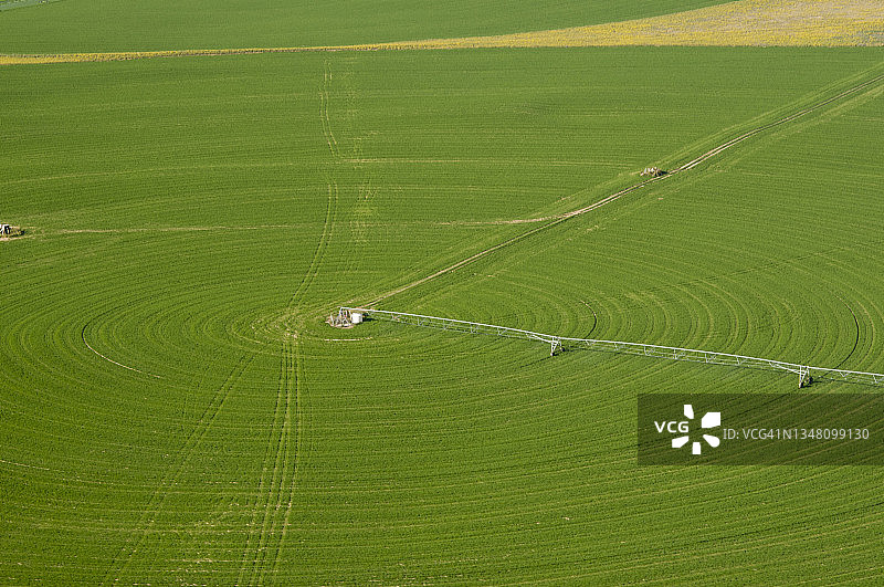 中心支轴式灌溉的圆形农田图片素材