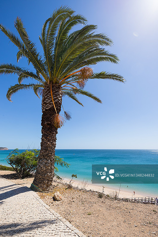 葡萄牙阿尔加维卡武埃鲁阿尔加尔塞科的绿色树叶框住的壮丽海景和悬崖图片素材