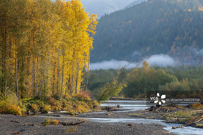 秋季努克萨克河日出景色，特色是秃鹰图片素材
