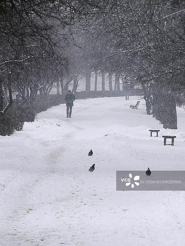 男子走在雪后的路面上图片素材
