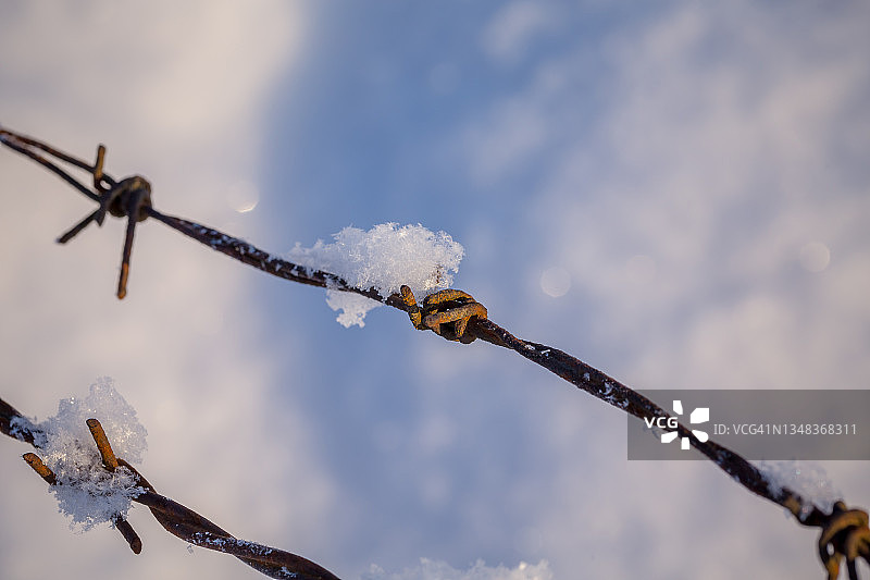 雪地草甸中的生锈铁丝网图片素材
