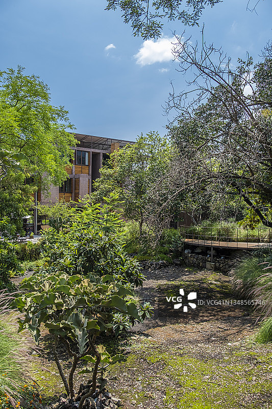 墨西哥温泉度假酒店美丽园林景观图片素材