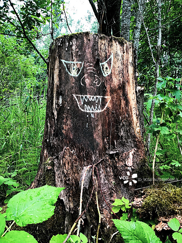 恐怖树桩图片素材