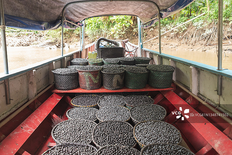 装满阿萨伊果的传统草篮图片素材