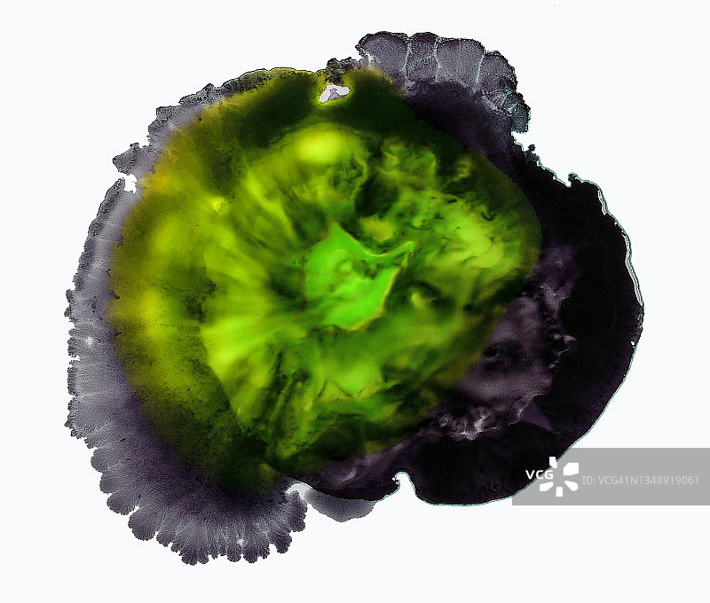 绿色墨滴落在空白画布上图片素材