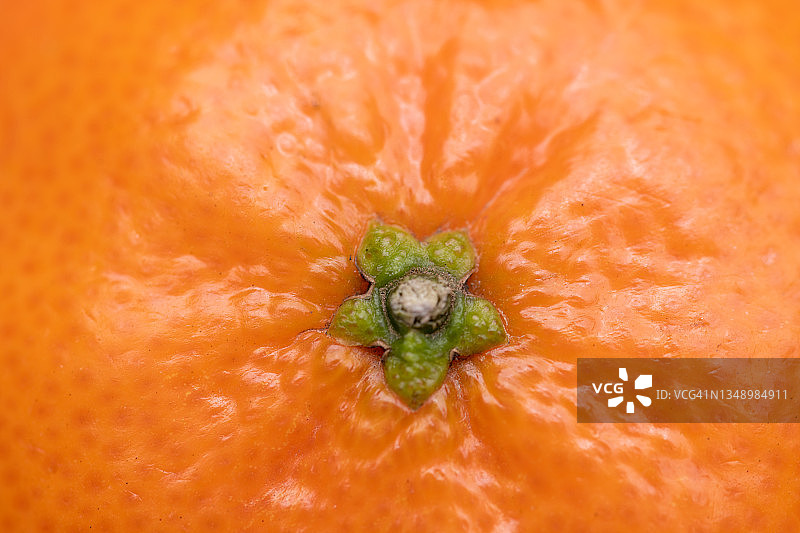 橙色橘子的微距特写图片素材