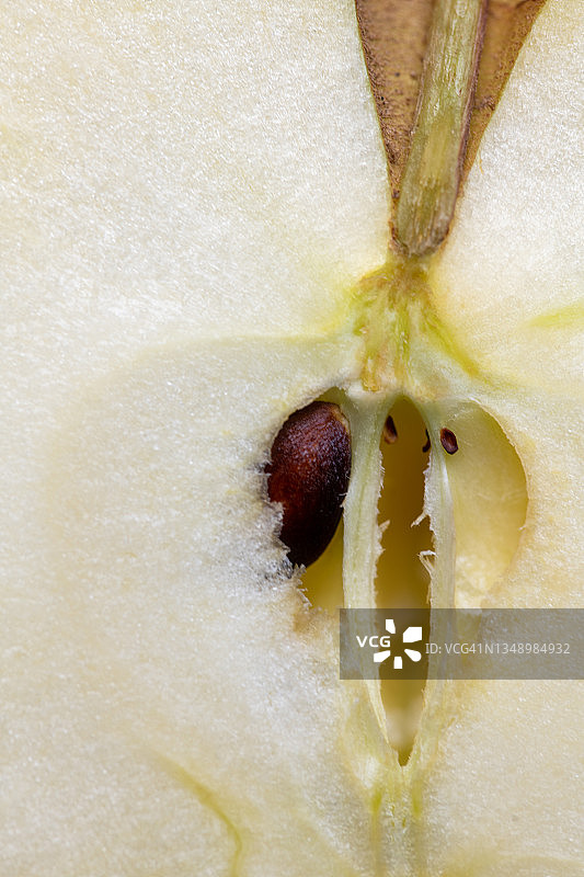 苹果果核的微距特写图片素材