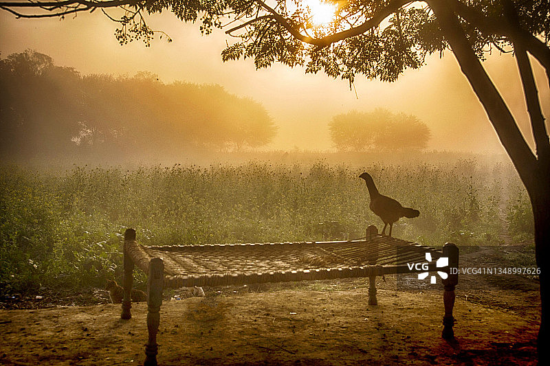 多雾的早晨图片素材