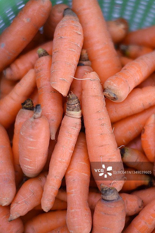 收获的胡萝卜图片素材