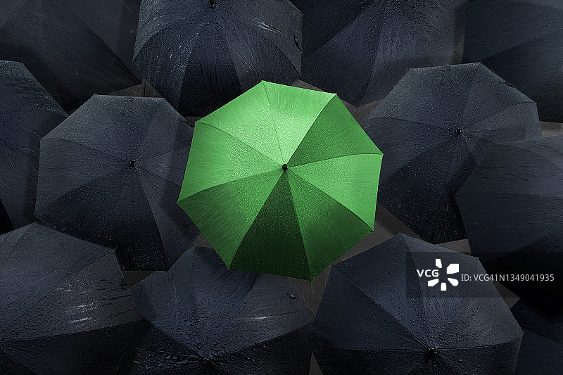 雨中，黑色雨伞中的绿色雨伞图片素材