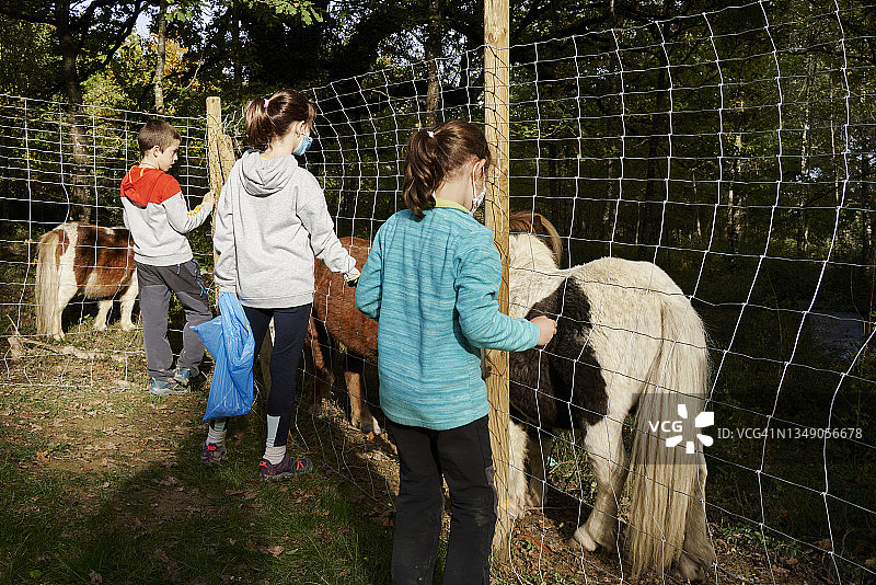兄弟俩在阳光明媚的山间田野里喂食小马图片素材