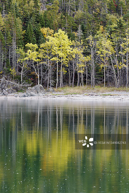 比克国家公园，威尔逊湾的秋季倒影图片素材