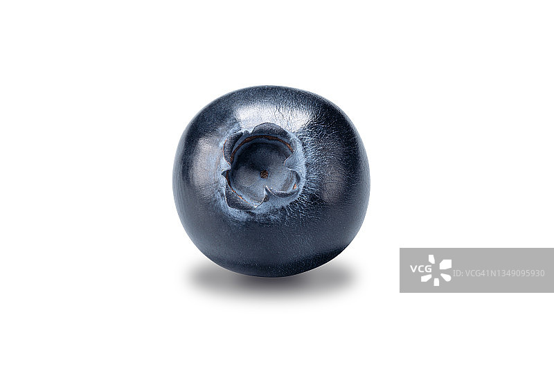 白色背景下的蓝莓图片素材