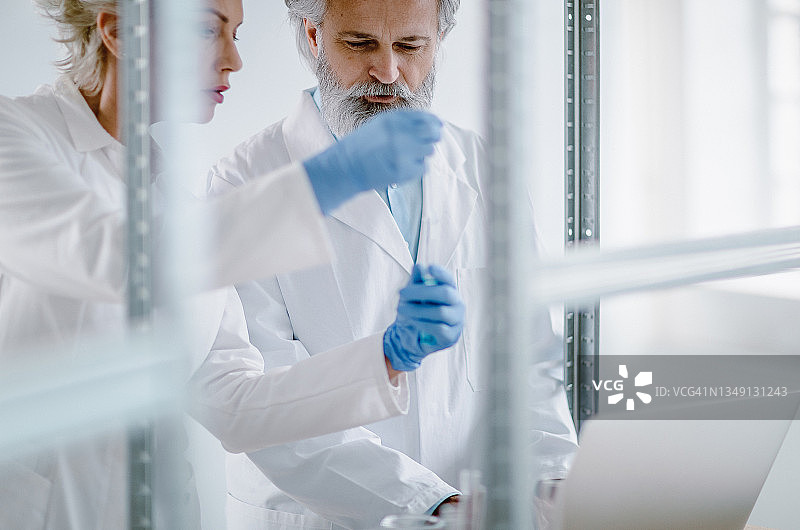 在实验室工作的科学家们图片素材
