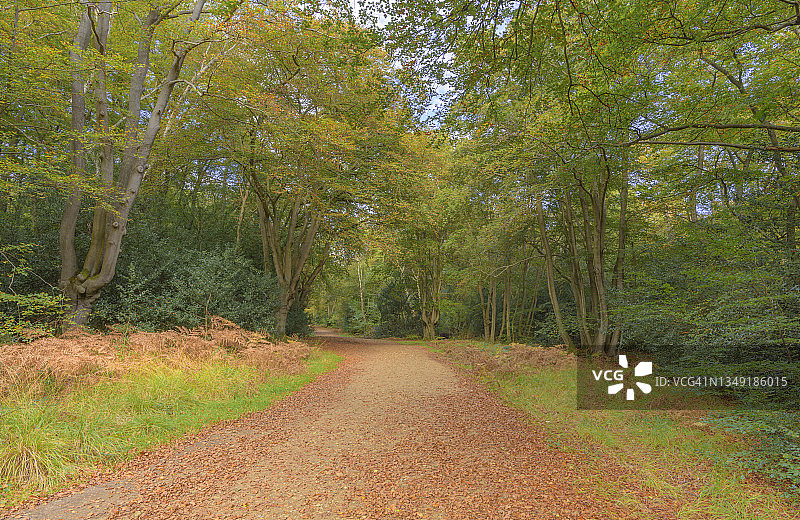 秋天的路径图片素材
