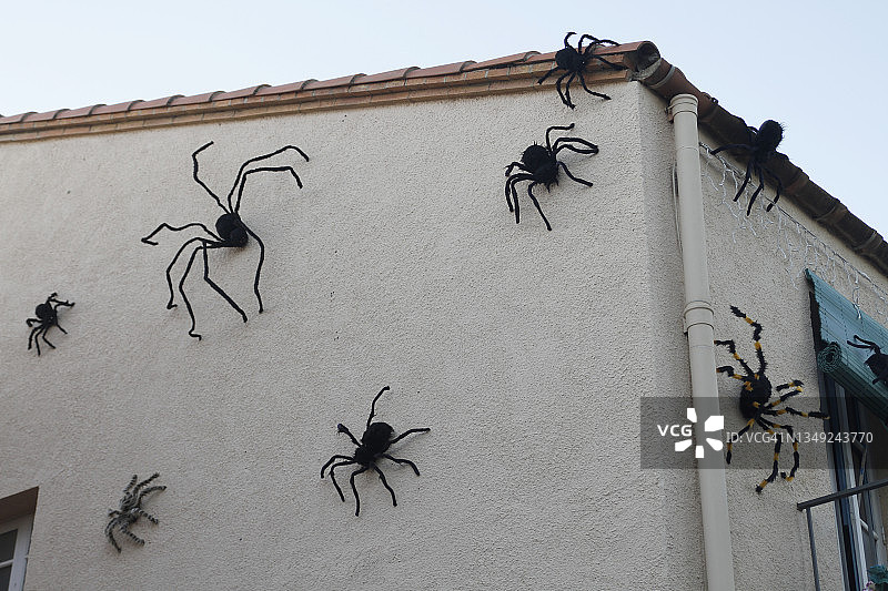 白色外墙上的黑蜘蛛图片素材