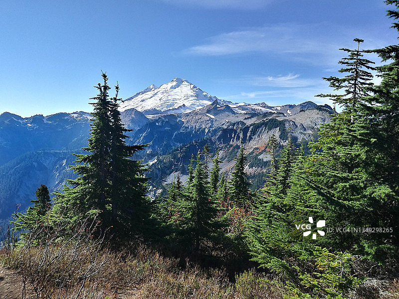 山顶树木框景远山图片素材
